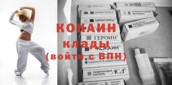 Альфа ПВП Ельня