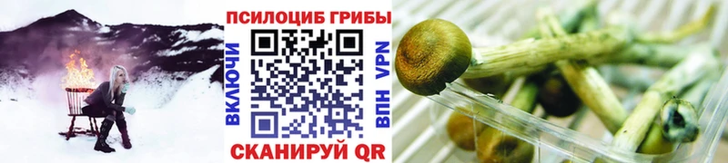 купить   Лангепас  Псилоцибиновые грибы мухоморы 
